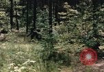 Image of individual camouflage United States USA, 1967, second 46 stock footage video 65675065972
