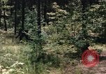 Image of individual camouflage United States USA, 1967, second 47 stock footage video 65675065972