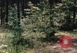 Image of individual camouflage United States USA, 1967, second 48 stock footage video 65675065972