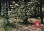 Image of individual camouflage United States USA, 1967, second 49 stock footage video 65675065972