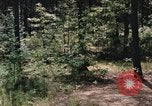 Image of individual camouflage United States USA, 1967, second 50 stock footage video 65675065972