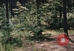 Image of individual camouflage United States USA, 1967, second 51 stock footage video 65675065972