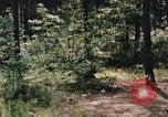 Image of individual camouflage United States USA, 1967, second 52 stock footage video 65675065972