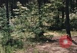 Image of individual camouflage United States USA, 1967, second 53 stock footage video 65675065972