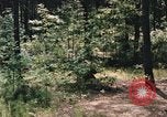 Image of individual camouflage United States USA, 1967, second 56 stock footage video 65675065972