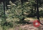 Image of individual camouflage United States USA, 1967, second 57 stock footage video 65675065972