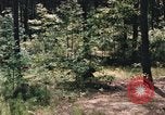 Image of individual camouflage United States USA, 1967, second 58 stock footage video 65675065972