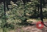 Image of individual camouflage United States USA, 1967, second 60 stock footage video 65675065972
