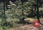 Image of individual camouflage United States USA, 1967, second 61 stock footage video 65675065972