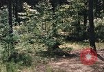 Image of individual camouflage United States USA, 1967, second 62 stock footage video 65675065972
