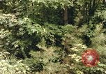 Standbild einzelnen Camouflage United States USA, 1967, aus Sekunde 10 historischem Filmmaterial Videoclip 65675065973