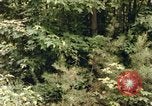 Standbild einzelnen Camouflage United States USA, 1967, aus Sekunde 11 historischem Filmmaterial Videoclip 65675065973