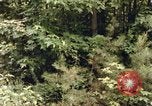 Standbild einzelnen Camouflage United States USA, 1967, aus Sekunde 13 historischem Filmmaterial Videoclip 65675065973