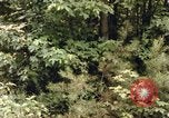 Standbild einzelnen Camouflage United States USA, 1967, aus Sekunde 14 historischem Filmmaterial Videoclip 65675065973