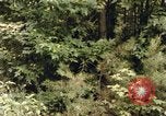 Standbild einzelnen Camouflage United States USA, 1967, aus Sekunde 15 historischem Filmmaterial Videoclip 65675065973