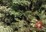 Standbild einzelnen Camouflage United States USA, 1967, aus Sekunde 16 historischem Filmmaterial Videoclip 65675065973