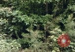 Standbild einzelnen Camouflage United States USA, 1967, aus Sekunde 19 historischem Filmmaterial Videoclip 65675065973