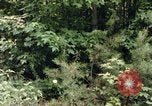 Standbild einzelnen Camouflage United States USA, 1967, aus Sekunde 20 historischem Filmmaterial Videoclip 65675065973