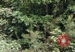 Standbild einzelnen Camouflage United States USA, 1967, aus Sekunde 21 historischem Filmmaterial Videoclip 65675065973