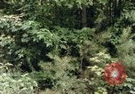 Standbild einzelnen Camouflage United States USA, 1967, aus Sekunde 22 historischem Filmmaterial Videoclip 65675065973