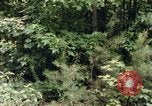 Standbild einzelnen Camouflage United States USA, 1967, aus Sekunde 23 historischem Filmmaterial Videoclip 65675065973