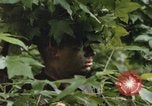 Standbild einzelnen Camouflage United States USA, 1967, aus Sekunde 24 historischem Filmmaterial Videoclip 65675065973