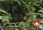 Standbild einzelnen Camouflage United States USA, 1967, aus Sekunde 25 historischem Filmmaterial Videoclip 65675065973
