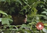Standbild einzelnen Camouflage United States USA, 1967, aus Sekunde 27 historischem Filmmaterial Videoclip 65675065973