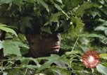 Standbild einzelnen Camouflage United States USA, 1967, aus Sekunde 28 historischem Filmmaterial Videoclip 65675065973
