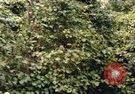 Standbild einzelnen Camouflage United States USA, 1967, aus Sekunde 32 historischem Filmmaterial Videoclip 65675065973