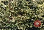 Standbild einzelnen Camouflage United States USA, 1967, aus Sekunde 33 historischem Filmmaterial Videoclip 65675065973