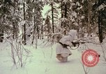Standbild einzelnen Camouflage United States USA, 1967, aus Sekunde 39 historischem Filmmaterial Videoclip 65675065973