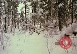 Standbild einzelnen Camouflage United States USA, 1967, aus Sekunde 42 historischem Filmmaterial Videoclip 65675065973