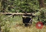 Standbild einzelnen Camouflage United States USA, 1967, aus Sekunde 46 historischem Filmmaterial Videoclip 65675065973