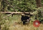 Standbild einzelnen Camouflage United States USA, 1967, aus Sekunde 48 historischem Filmmaterial Videoclip 65675065973