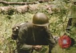 Standbild einzelnen Camouflage United States USA, 1967, aus Sekunde 57 historischem Filmmaterial Videoclip 65675065973
