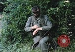 Image of individual camouflage United States USA, 1967, second 49 stock footage video 65675065974