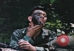 Image of individual camouflage United States USA, 1967, second 62 stock footage video 65675065974