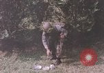 Image of individual camouflage United States USA, 1967, second 62 stock footage video 65675065975
