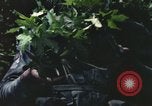 Image of individual camouflage United States USA, 1967, second 8 stock footage video 65675065976