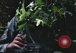Image of individual camouflage United States USA, 1967, second 9 stock footage video 65675065976