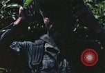 Image of individual camouflage United States USA, 1967, second 10 stock footage video 65675065976