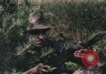 Image of individual camouflage United States USA, 1967, second 15 stock footage video 65675065976