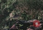 Image of individual camouflage United States USA, 1967, second 18 stock footage video 65675065976