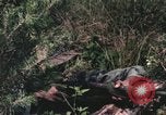 Image of individual camouflage United States USA, 1967, second 19 stock footage video 65675065976