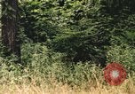 Image of individual camouflage United States USA, 1967, second 20 stock footage video 65675065976