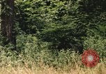 Image of individual camouflage United States USA, 1967, second 21 stock footage video 65675065976