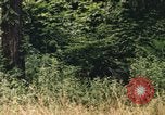 Image of individual camouflage United States USA, 1967, second 22 stock footage video 65675065976