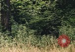 Image of individual camouflage United States USA, 1967, second 25 stock footage video 65675065976