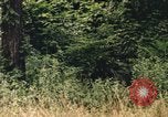 Image of individual camouflage United States USA, 1967, second 26 stock footage video 65675065976